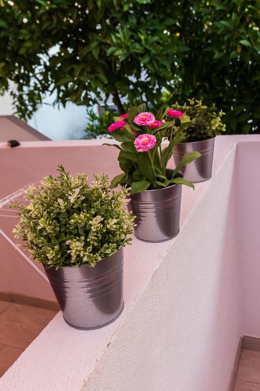 Apartments Elizabeth Biograd Na Moru Dış mekan fotoğraf